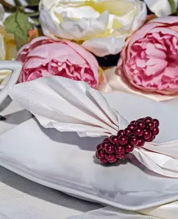 manteles para restaurantes, funda para sillas