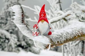 Navidad